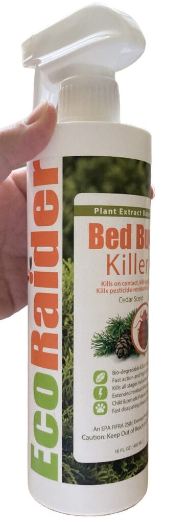 Kill bed bugs with essential oils using Ecoraider aka Ecovenger